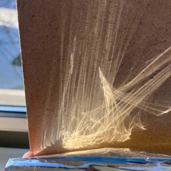 Whale in the Limelight