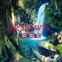 STSTAZ - PR Shawty