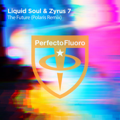 The Future (Polaris (FR) Extended Remix)