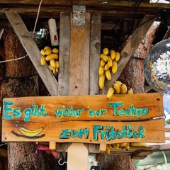 Es Gibt Wieder Nur Techno Zum Frühstück 08.08.2024