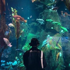 i wish it was as simple as fish in the sea