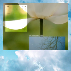 so_blue