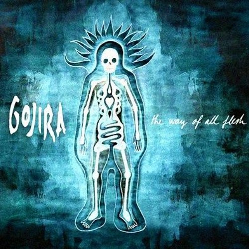 Gojira - Esoteric Surgery (Guitar and Drums cover )