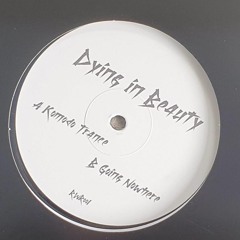 RWR001 - Dying in Beauty - Going Nowhere