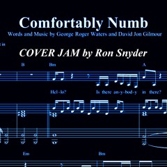 Comfortably Numb - Ron Snyder COVER JAM