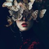Towards the Sky — cover
