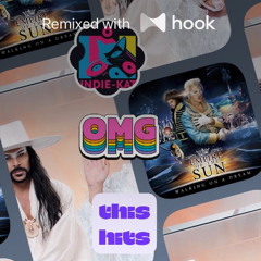 Empire of the Sun - We Are The People (@djindiekat Hook Remix)
