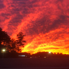 HiLagosTillOctoberNights