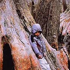 Low Points | KarmaTheGXD