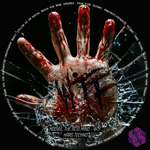 MODVLE, The Acid Mind - WTF