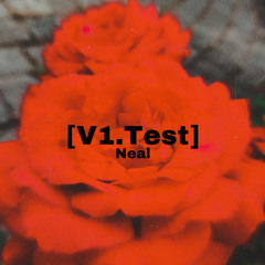 V1.Test