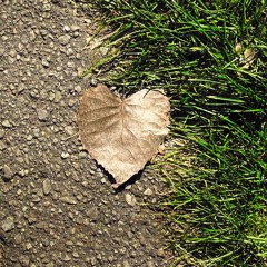 What Love Feels Like