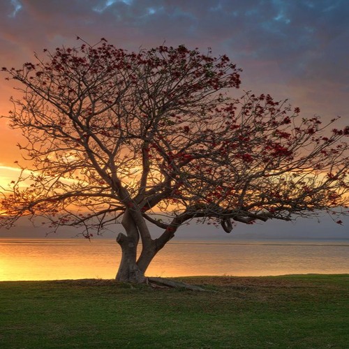 Some Days Are Diamonds