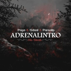 Paya & Gdaal & Parsalip - Adrenalintro (No Sinab)