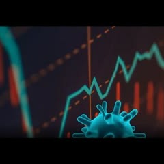 Pandemic and the Economy