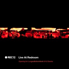 Live at Red Room (opening for Longwalkshortdock & KJ Sawka)