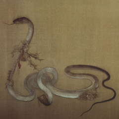 the ballad of lucy gray (cover)