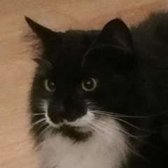 FERROFLUID v7 [2020]