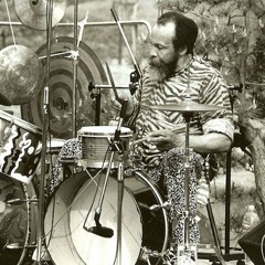 Milford Graves 2013