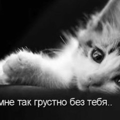 Psychonaut 4 – Personal Forest (S.D. Ramirez Version) [Bonus Track] (Dipsomania)