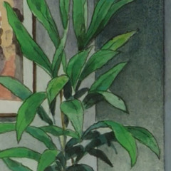 Plant Plant Zone Act 1