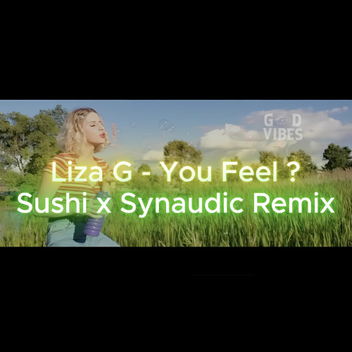 Liza G feat Sushi x Synaudic - You Feel ?  ( Free DL )