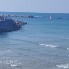 Freedom long song...