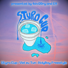 HolyBoy Freestyle