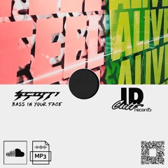 Bass in Your Face - Scotti