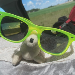 Addisons 30th Birthday Bash!