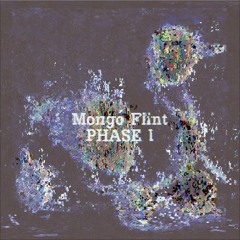 Mongó Flint - Phase I