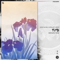 Gony Slowly & Project Hertz - TUTB (Gony Slowly VIP Mix)