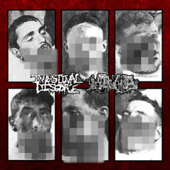 Inopexia / Intestinal Disgorge - Full split 2019 (Goregrind/Gorenoise/Noisegrind)