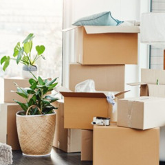 Moving Assistance Bloomington IL