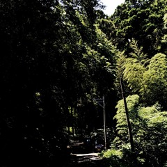 I Gazed At Her And Things Felt Like An Ongoing Dream - #3096 By Chair House 06062022