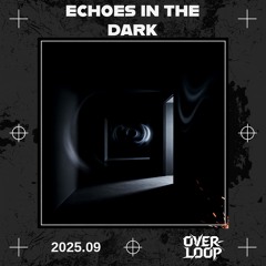 Echoes In The Dark