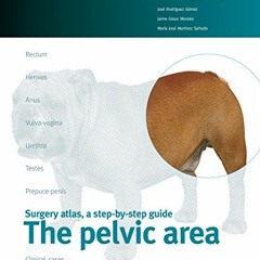 FREE KINDLE 💜 The pelvic area. Small animal surgery by  José Rodríguez Gómez,Jaime G