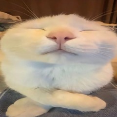 ROBLOX LOUD BYPASSED SCUOL4 BY THA SUPREME AUDIO BY SLASHCAST ULTRA MEGA RARE SUPER RARE LOUD