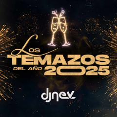 LOS TEMAZOS DEL AÑO 2025 DJ NEV 🎅