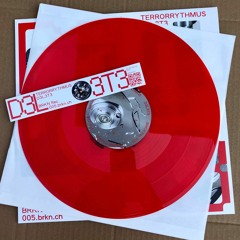 005 Terrorrythmus - D3L3T3 (12" vinyl snippet)