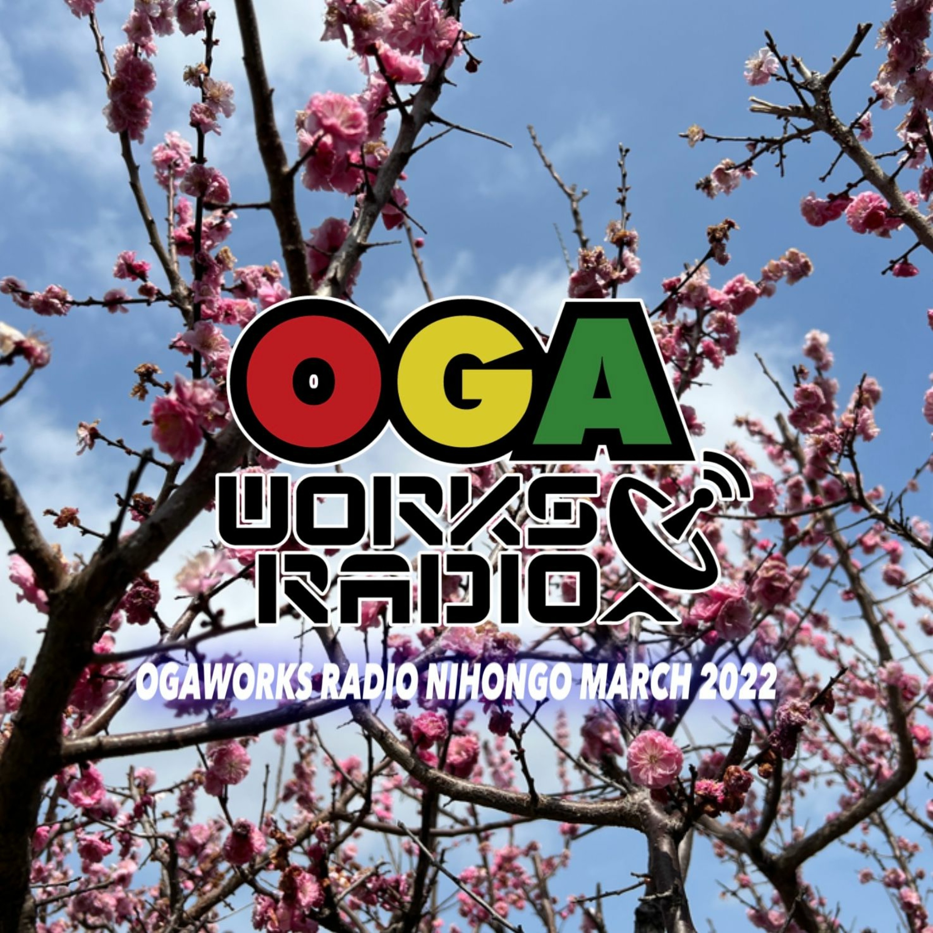 Reggae Radio from Japan