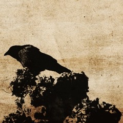 Soak Me in Your Rain