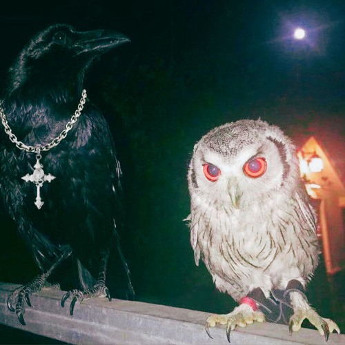 FxkThisFeeling (SlexfestTillDecember)