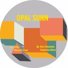 Premiere: Opal Sunn - Minority State [Touch From A Distance]