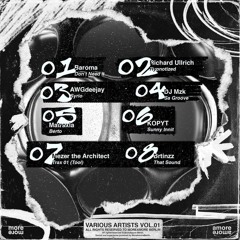 Brtinzz - That Sound