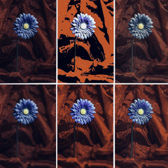 Riverine Becoming (amp)