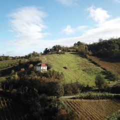 Land with views for Sale in Piemonte
