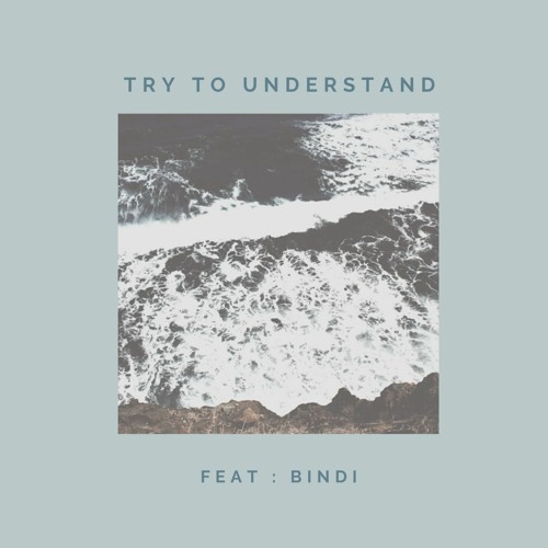 Try To Understand   feat : Bindi