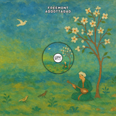 Freemont - Abbottabad [YHV RECORDS]