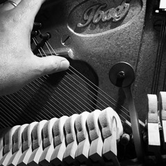 Finger Muted Ibach DEMO